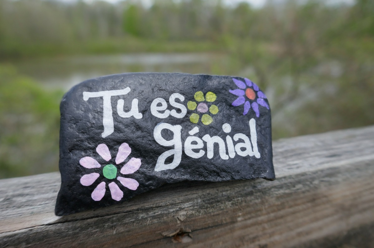 Backgrounds Connect Quest – Rock Snake French Image